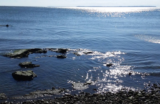 Lakefront Condos C &/or D - sleeps 4 - 8