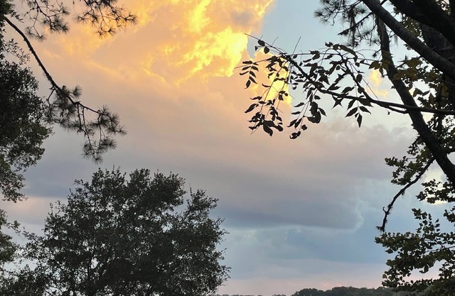 Lakefront Cottage with amazing views