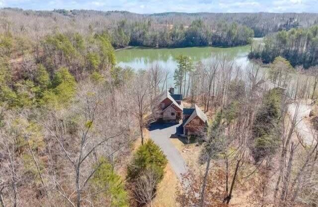 Lakefront~Dock~Hot tub~Firepit~Dog Friendly!