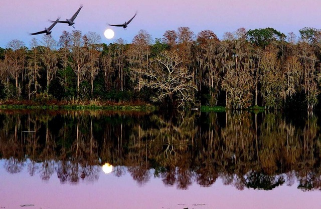 Lakefront house with pool and playroom