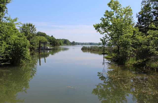 Lakefront, large yard, close to Chattanooga, 9 beds, private dock, pets ok