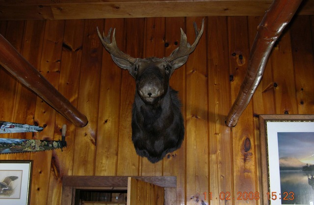 Lakeside Log Cabin: Breathtaking Natural Beauty Pocomoonshine Lake Bass fishing