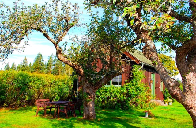 Landside cottage with horse riding offer!