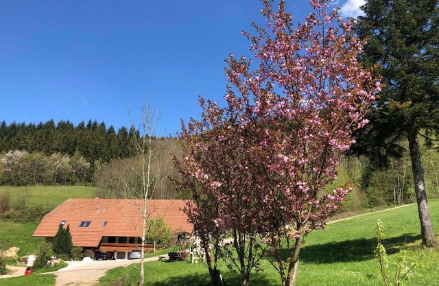Langmichelhof - Apartment 32sqm, 1 living room/bedroom