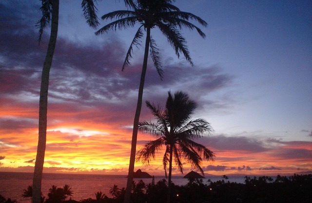 Lanikai Garden Lanai Studio
