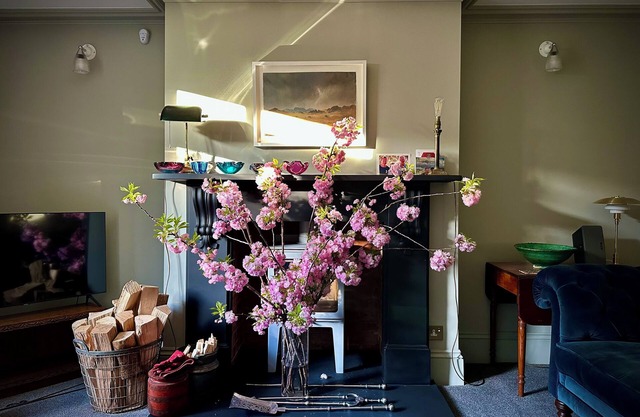 Large 1 bd period apartment with own garden - Camden/Kings Cross