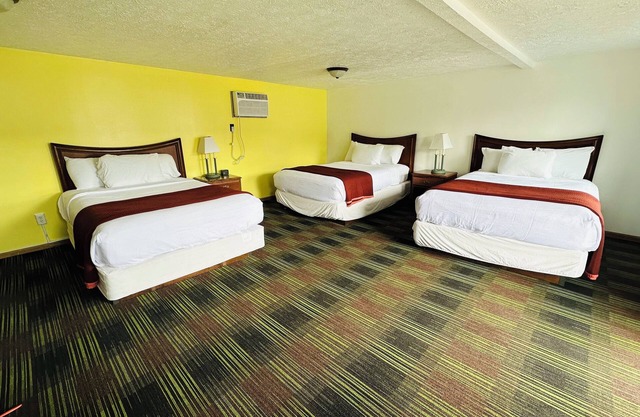 Large 3 Queen Room - 2 Miles to Cedar Point!