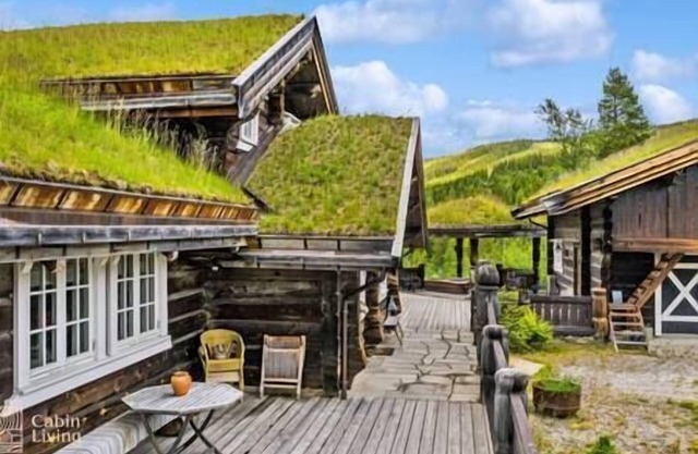 Large cabin on Nesfjellet/pure luxury feeling