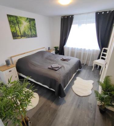 Large Central Apartment - MODERN & Fully Equipped - near fair
