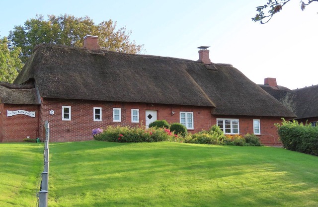 Large courtyard with lawn, garden shed and terrace, WLAN