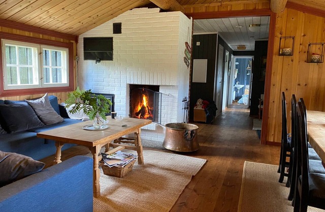 Large, cozy family cabin at Norway Norefjell ski area
