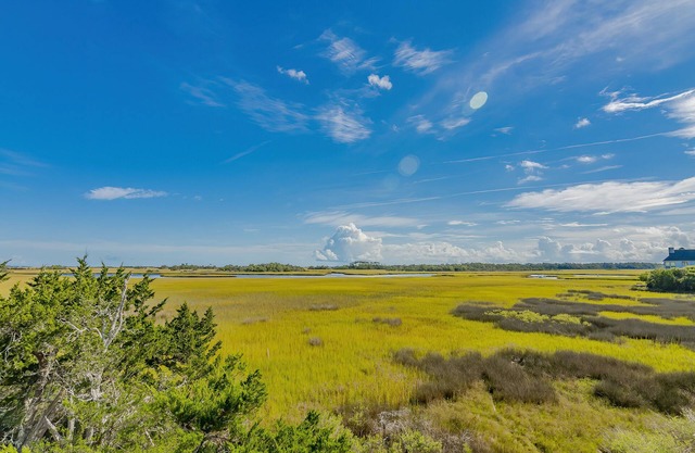 Large windows taking in the marsh views on BHI; reverse floor plan and large deck for views!