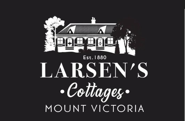 Larsens Cottage 2 - Historic 1880 Home