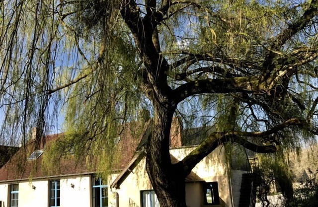 Le Domaine de la Cour
