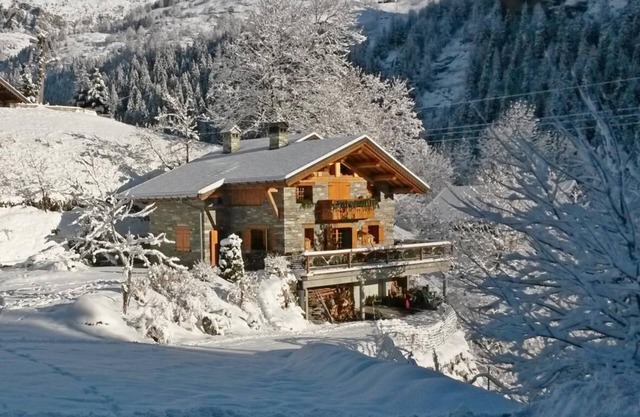 LE FLOCON - VILLAROGER