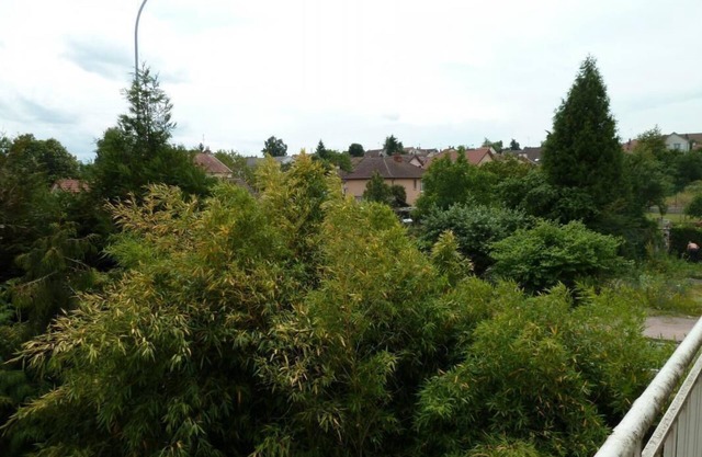 Le Jardin Japonais - Creusot