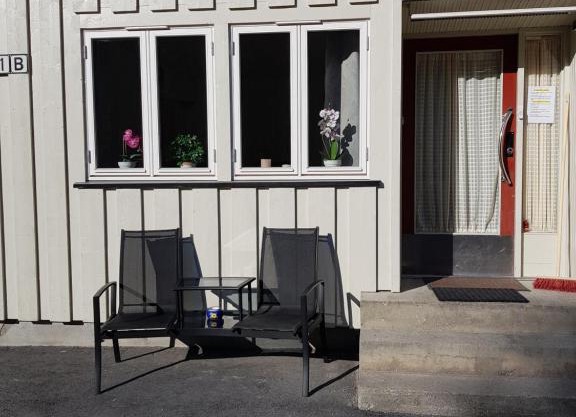 Leilighet i Åmotsdal