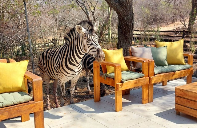 Lenny's Den - bordering Kruger National Park