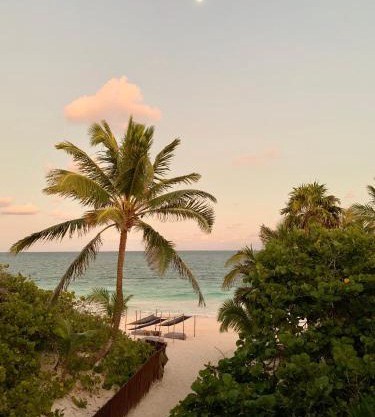 Libelula Tulum Beachfront Hotel