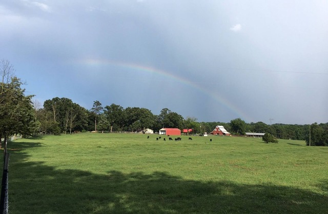 Life on the farm with Pool! 1+ hour to ATL, Close to great hiking in No GA Mtns