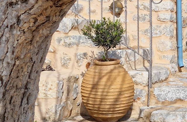 Lithos Stone Suites