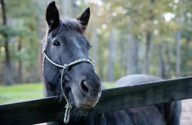 Little Bit Farm - Create your own stay