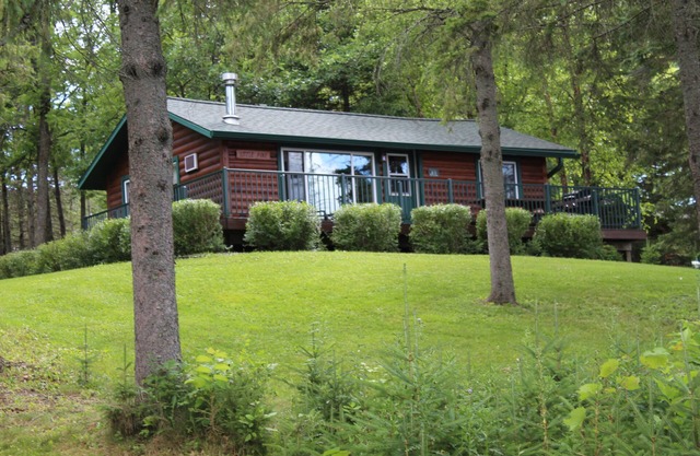 Little Pine Cabin; a charming retreat for couples