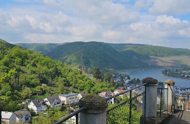 Little Rhine View Château (Harry): with terrance, river view, mountain view.