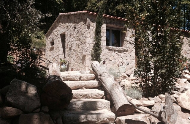 LITTLE SHEEP TYPICAL STONE