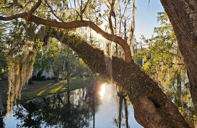 Little slice of heaven 2-bedroom condo in superb Georgetown with deck on lake