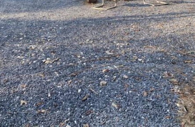 Livin on the Edge Cabin in Albert Pike, Brand New!