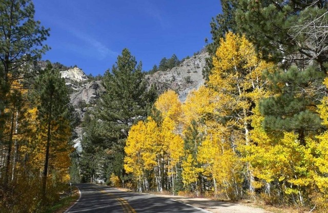 Loft Condo w/Bonus Area - Creekside #7 by Bear Valley Vacation Rentals