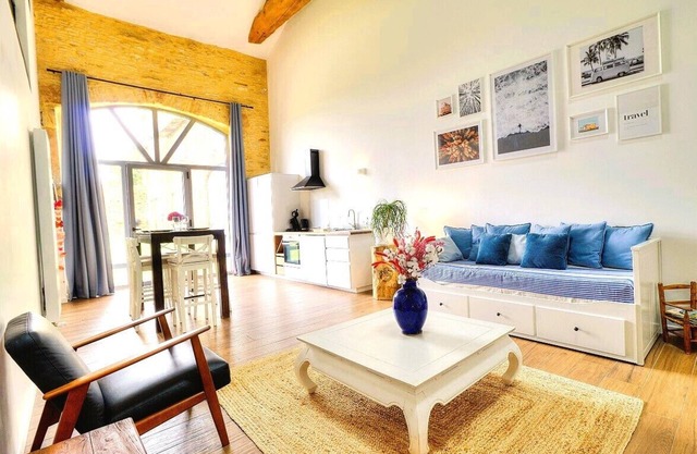 Loft in the heart of the vineyards in a former Chai dating from 1815