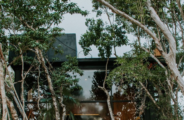 Loft Maya con Cenote Privado K NAJ