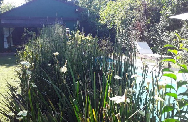 Loft Verde que te quiero Verde