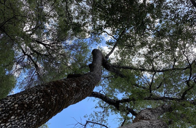 Lofty Haven with Panoramic Country View