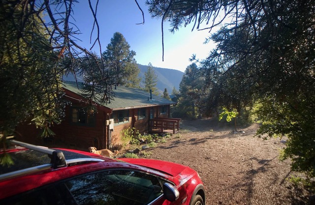 Log cabin w/sauna, cinema, deck, tree house, trampoline AND easy walk to town.