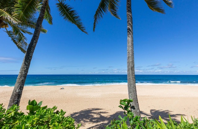 Log Cabins Beach Home
