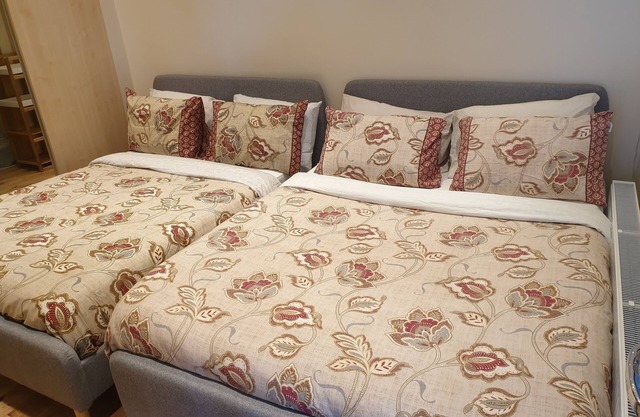 London Luxury Apartment Sleeps 4, 1 Min from Redbridge Station