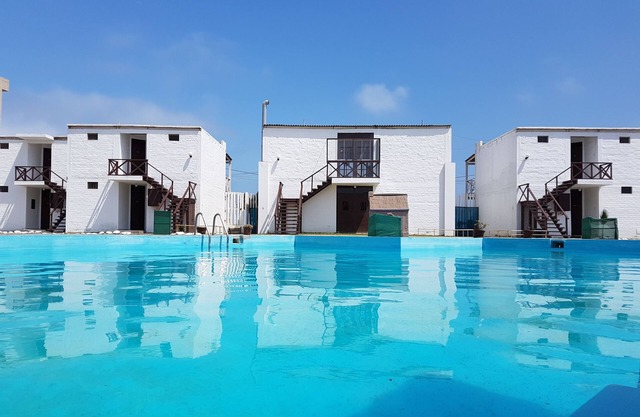 Los Delfines de Chicama