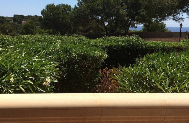 Los Pinos, very quiet apartment 200m from the beach