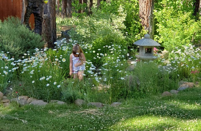 Lost Sierra Mountain Home