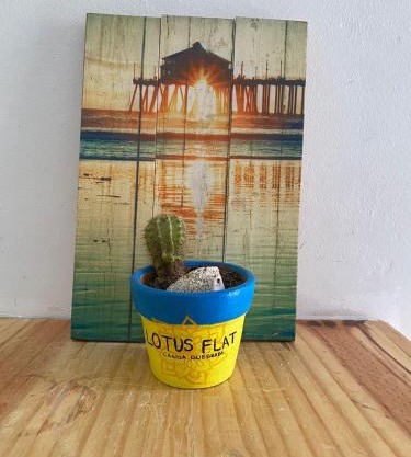 Lotus Flat - Canoa Quebrada