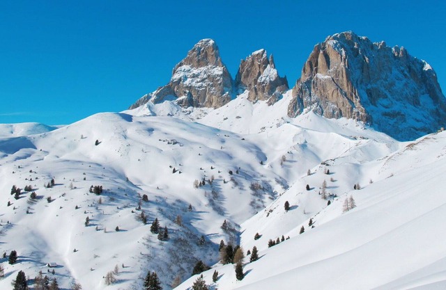 Lovely apartment for 7 people with WIFI, TV, balcony, pets allowed and parking