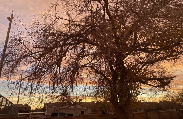 Lovely Cabin in a Park Like Setting