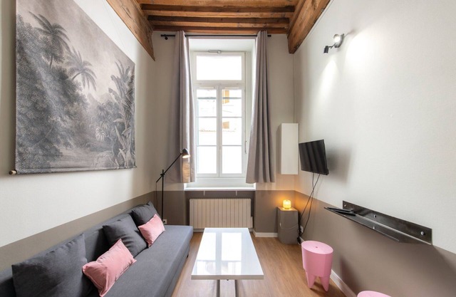 Lovely cozy studio - Pentes of Croix Rousse