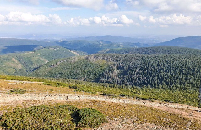Lovely apartment for 4 people with WIFI and TV