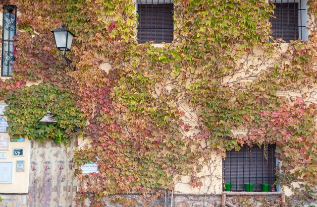 Lovely home in Arenas del Rey with WiFi