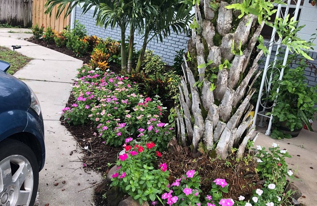 Lovely relaxing home