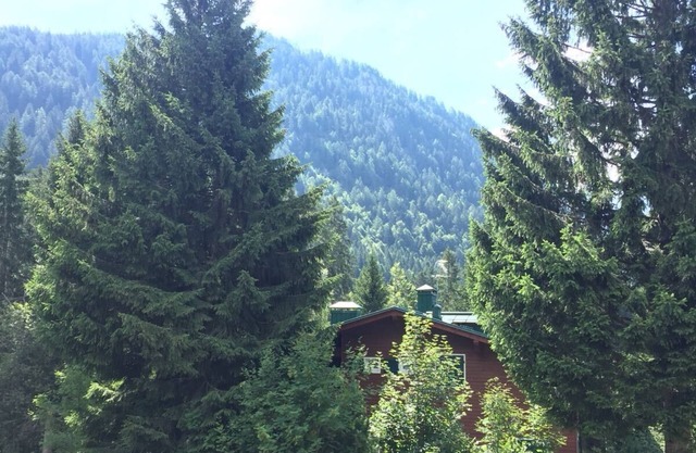 Lovely snowflake in the Dolomites Madonna di Campiglio